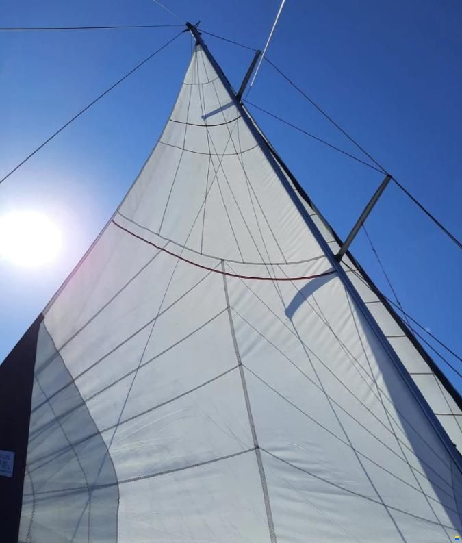 Dromor Venus 16