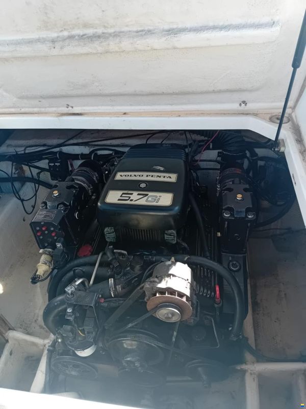 Wellcraft 243 Prima