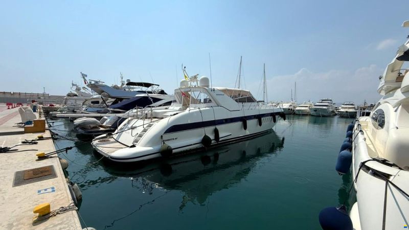 Mangusta 80