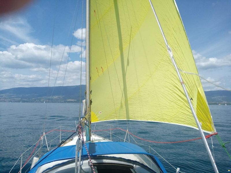 Fellow Ship 28ow