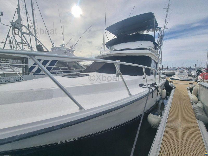 Blackfin 38 CONVERTIBLE