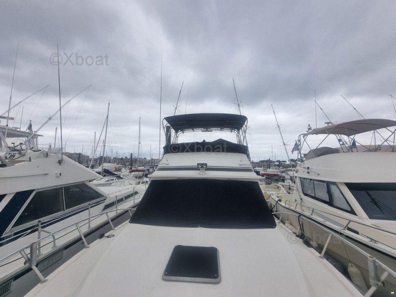 Blackfin 38 CONVERTIBLE