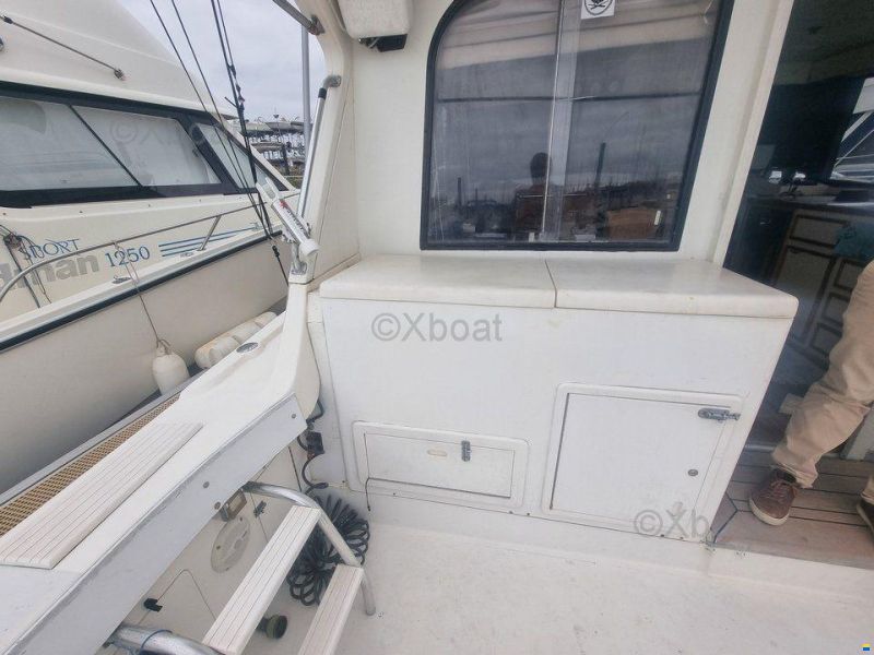 Blackfin 38 CONVERTIBLE