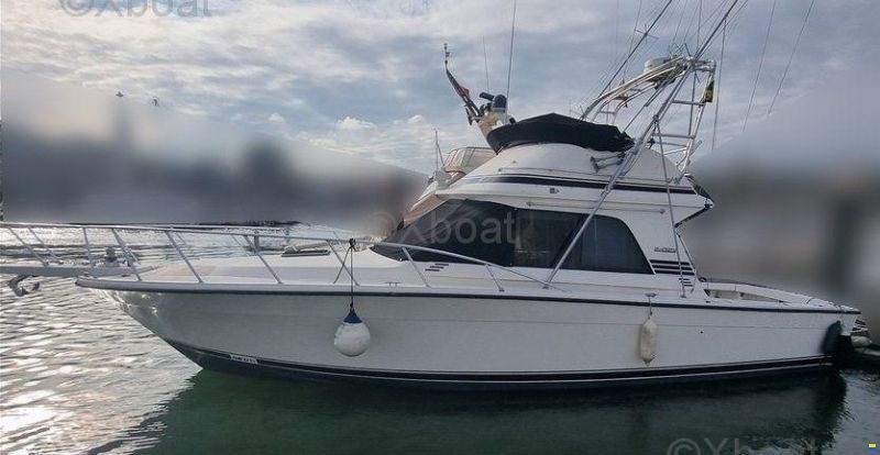 Blackfin 38 CONVERTIBLE