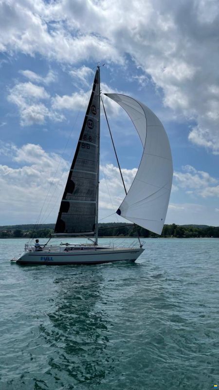 Olsen Olsen34