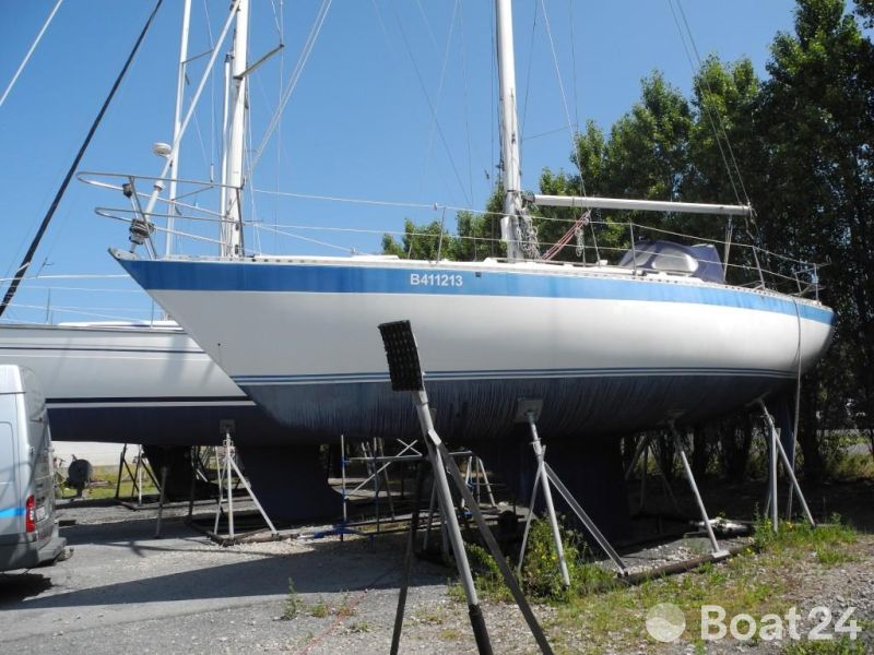 Wauquiez Gladiateur 33