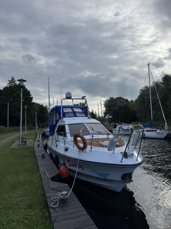 Birchwood TS 31