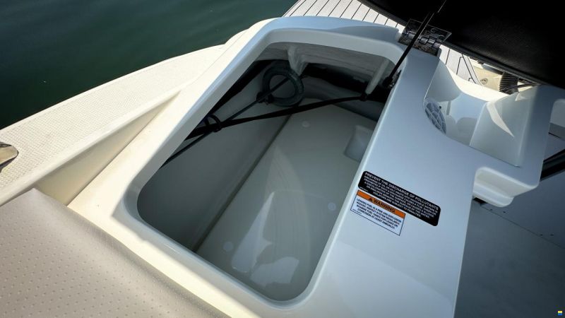 Sea Ray SPX 190 OB