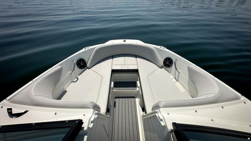 Sea Ray SPX 190 OB