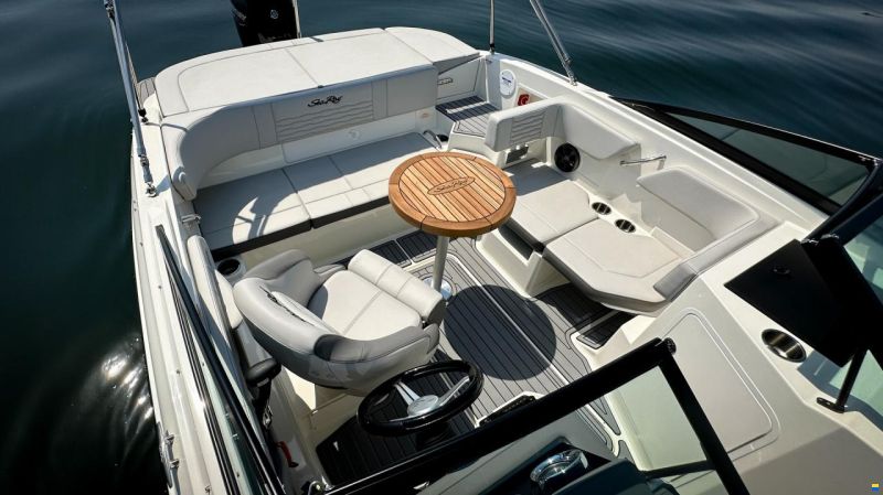 Sea Ray SPX 190 OB