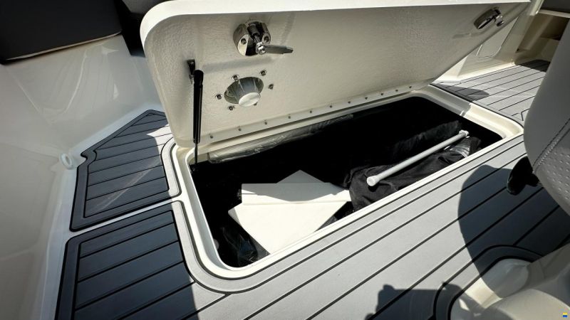 Sea Ray SPX 190 OB