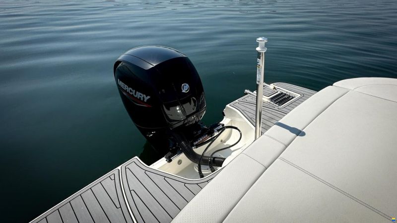 Sea Ray SPX 190 OB