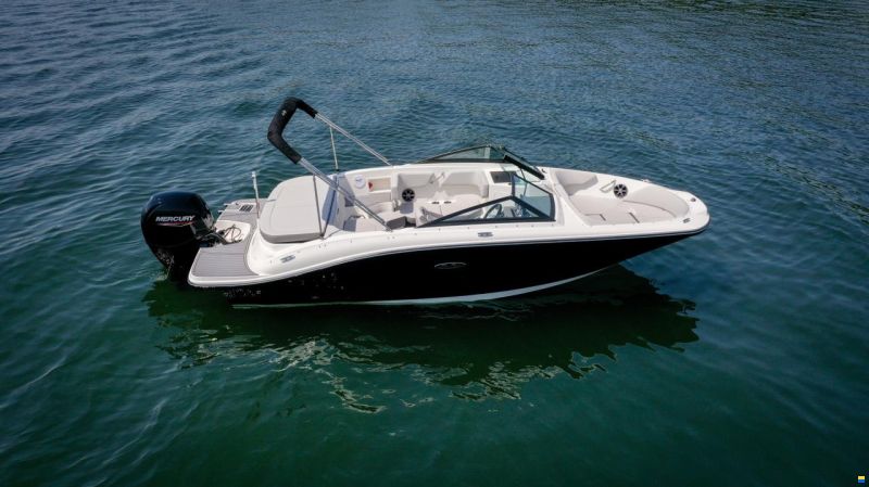 Sea Ray SPX 190 OB