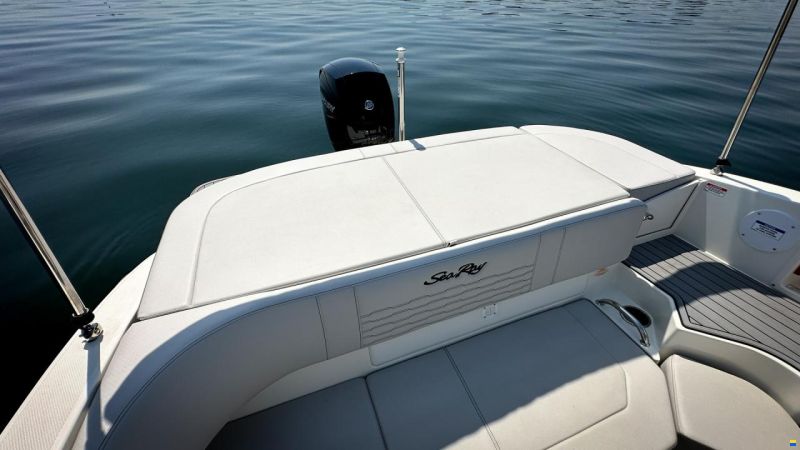 Sea Ray SPX 190 OB