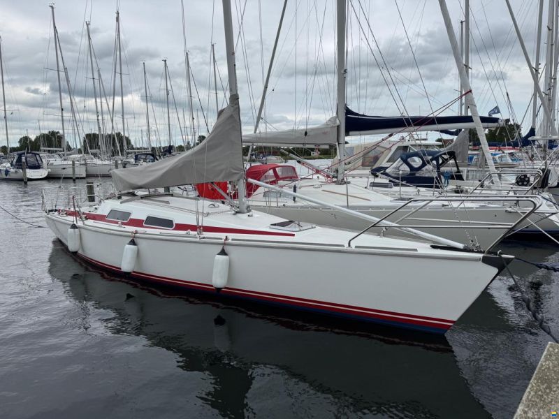 Dynamic 35