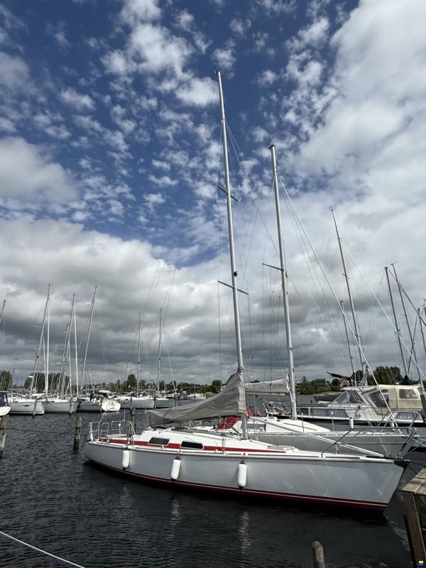 Dynamic 35