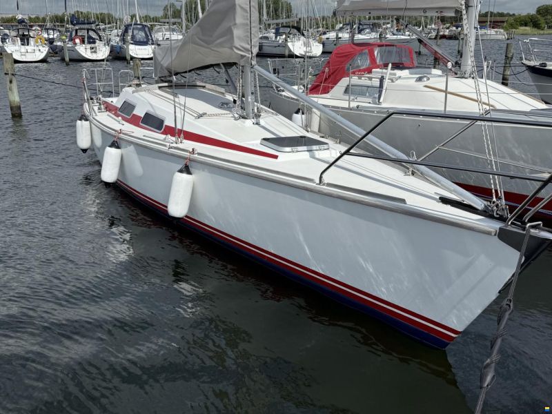 Dynamic 35