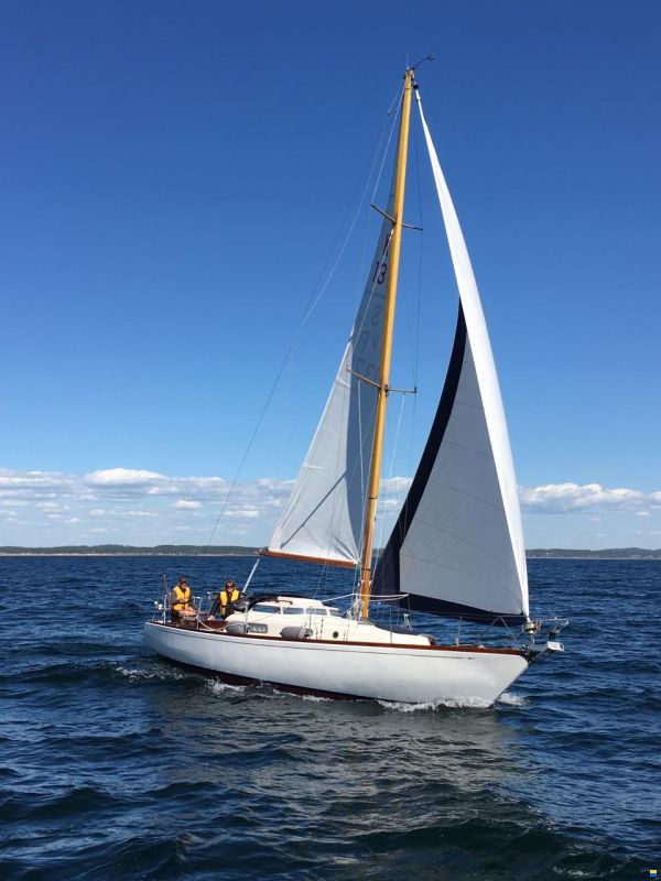 Asmus 34