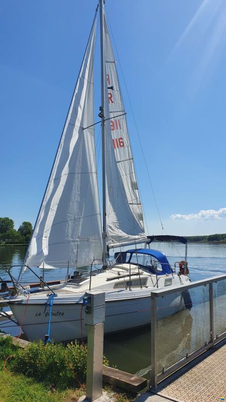 Rethana 25