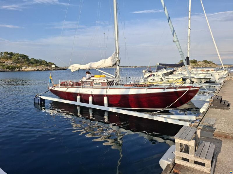 Havskryssare