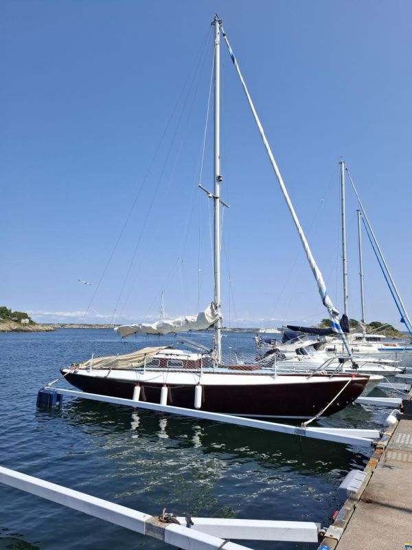 Havskryssare