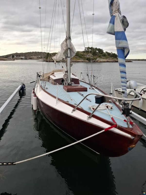 Havskryssare