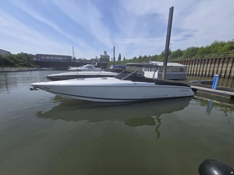 Cobalt 343