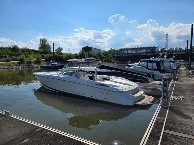 Cobalt 343