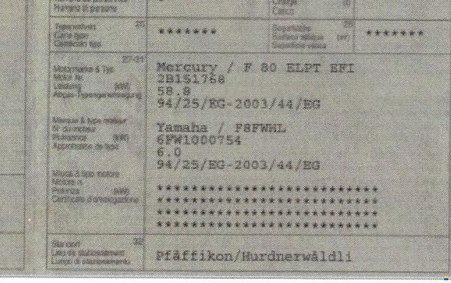 Mercury F 80 ELPT EFI