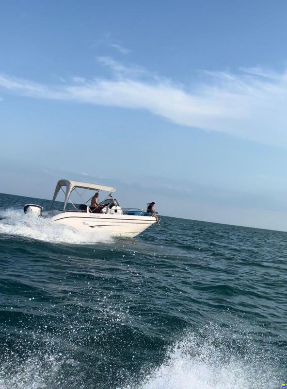 Ranieri Shadow 22