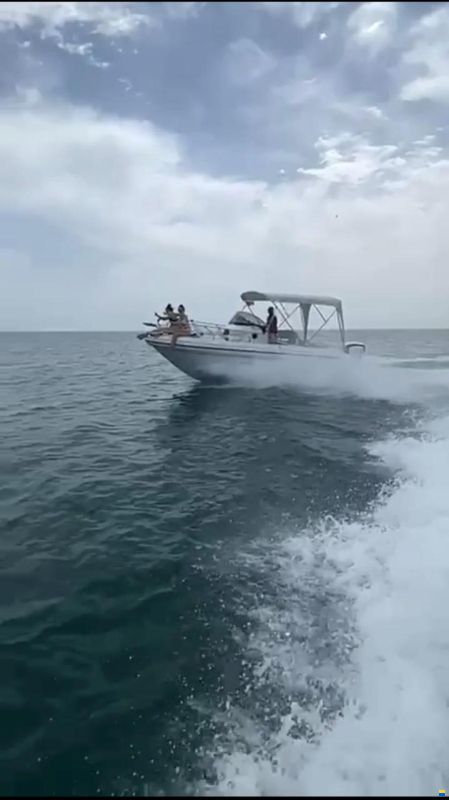 Ranieri Shadow 22