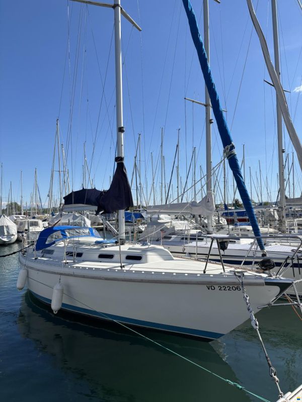Marieholm Fortissimo 33
