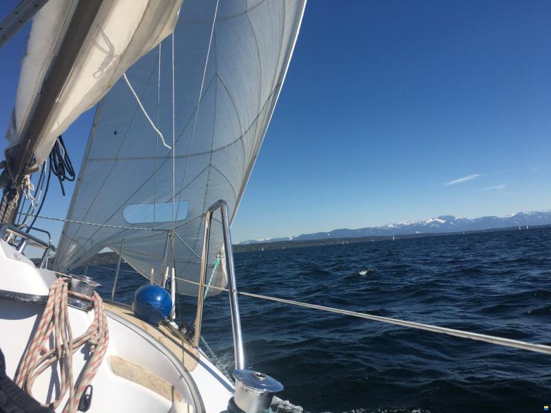 Bavaria 808