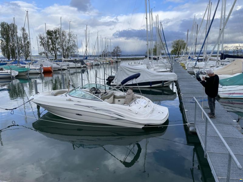 Sea Ray 220 SD