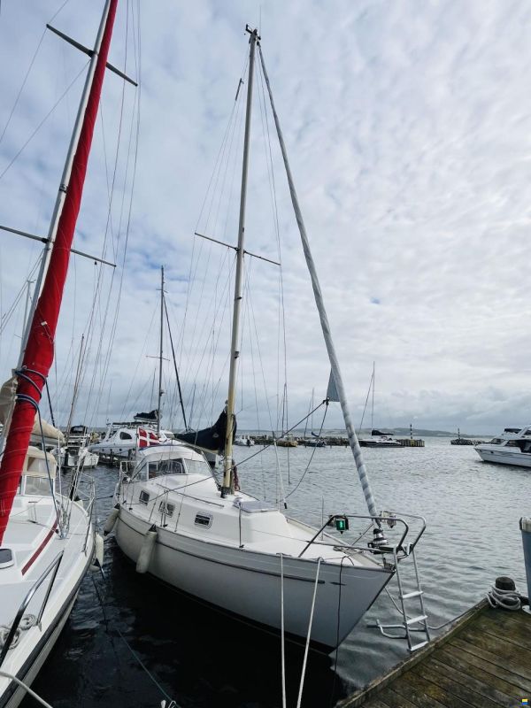 Hallberg-Rassy Monsun 31