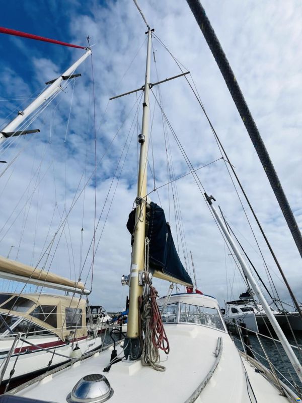 Hallberg-Rassy Monsun 31