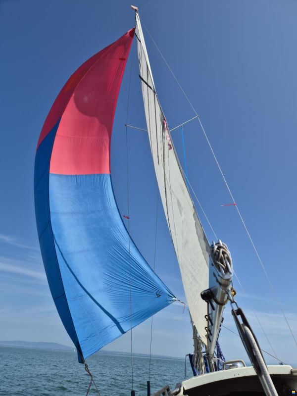 Dehler Varianta 65 K4, Nr. 211