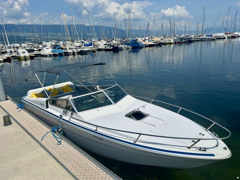 Gobbi Offshore 23