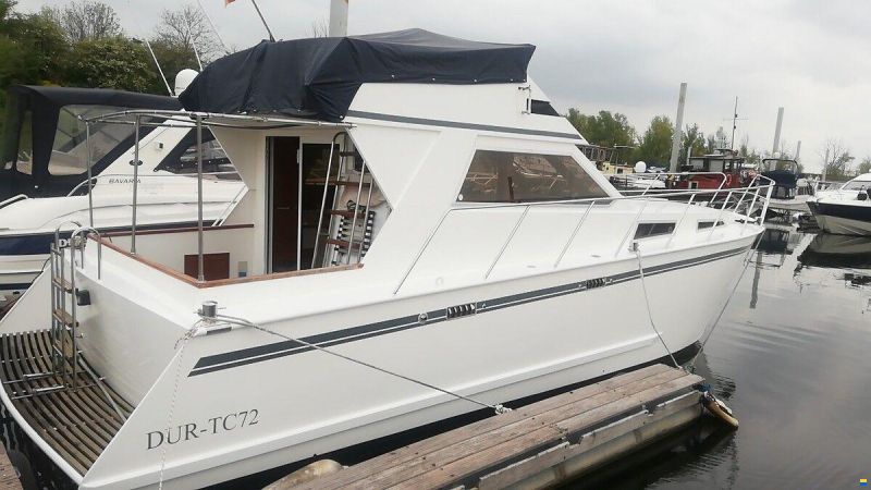 Condor 105 fly