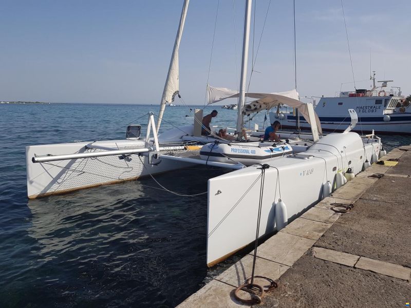 FH 34 Wolf Cat Design