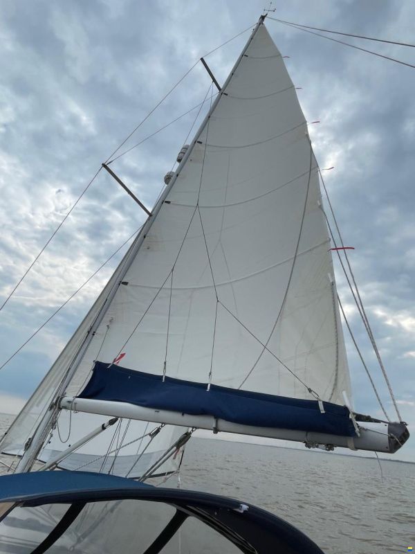 Dufour 36 Classic