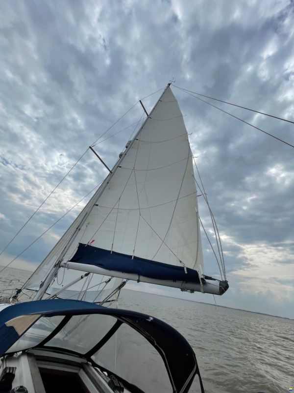 Dufour 36 Classic