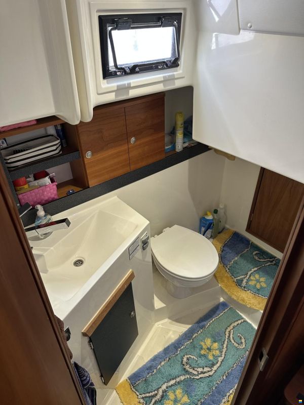 Delphia Soley 1100 Escape