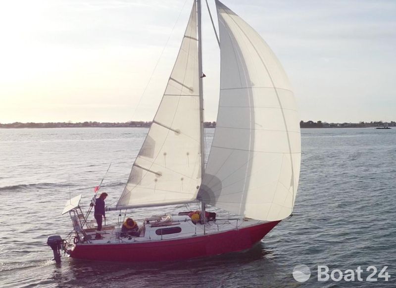 Mallard Écume de Mer