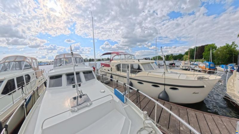 Linskens Catfish 46