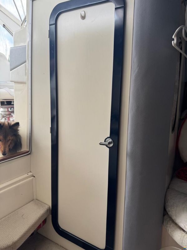 Cranchi Endurance 31