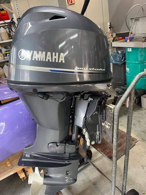 Yamaha F50
