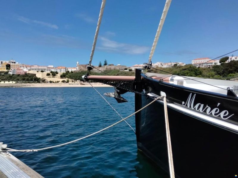 Puffin 42