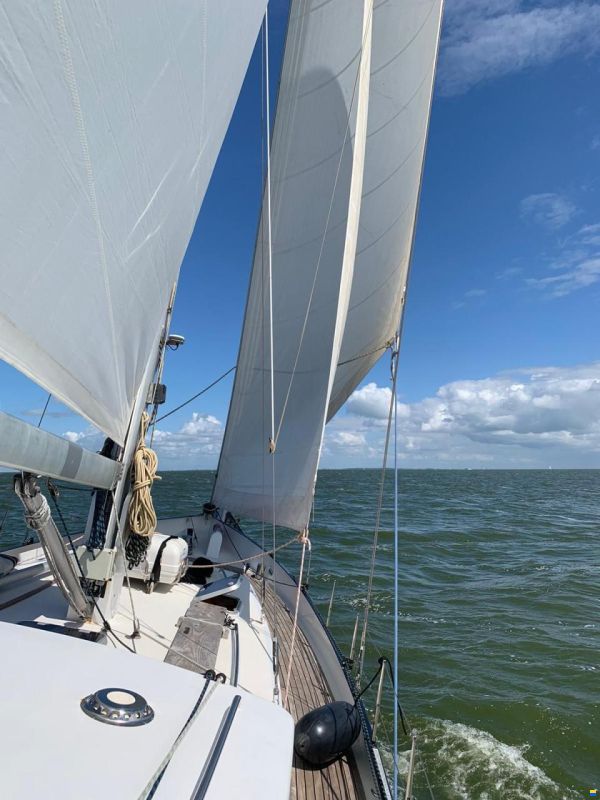 Puffin 42