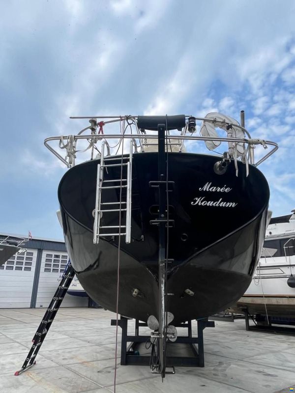 Puffin 42